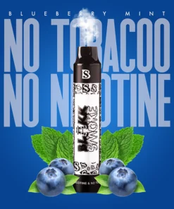 blueberry mint vape